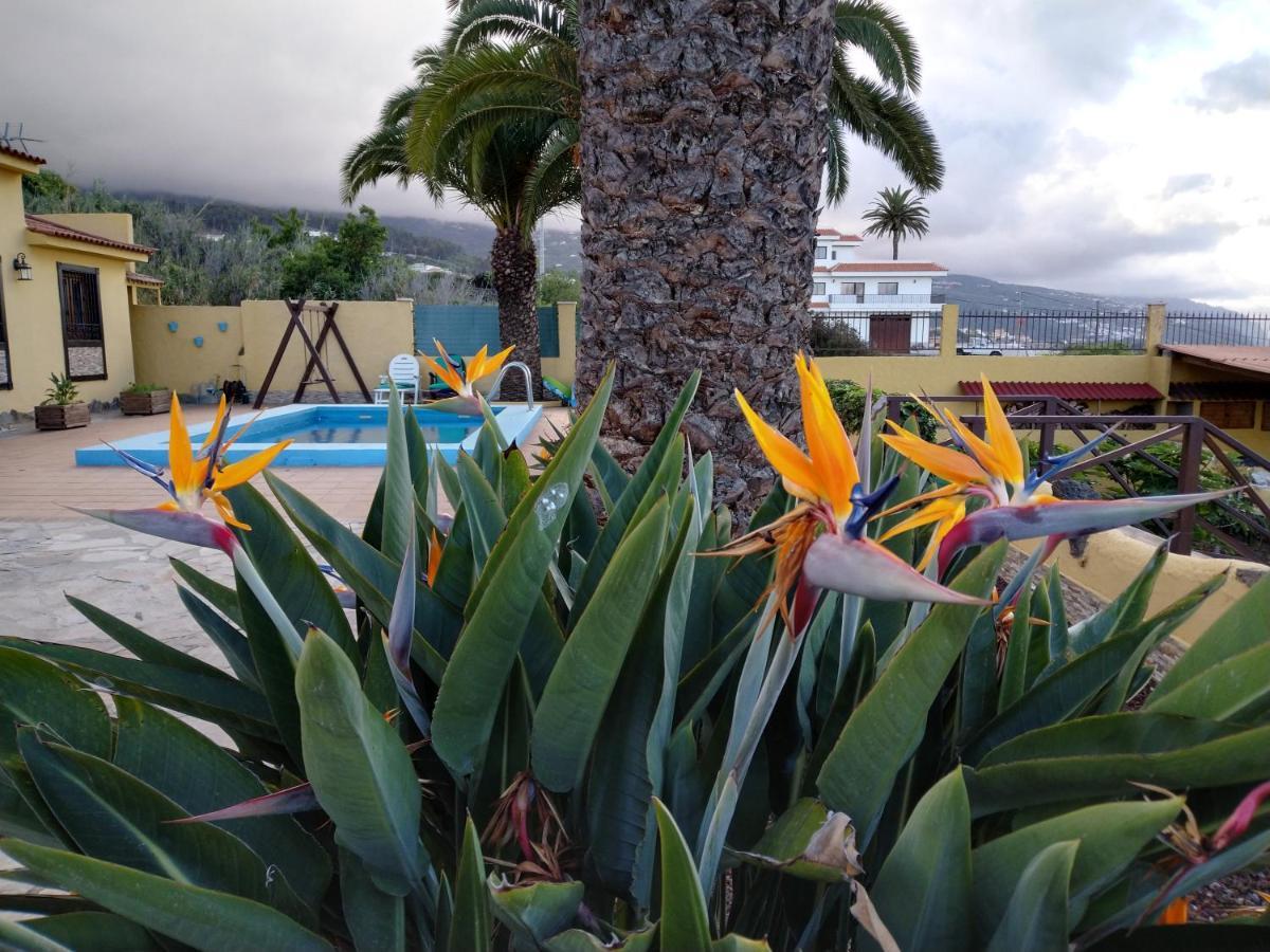 Apartamento La Costa Santa Cruz de Tenerife Esterno foto