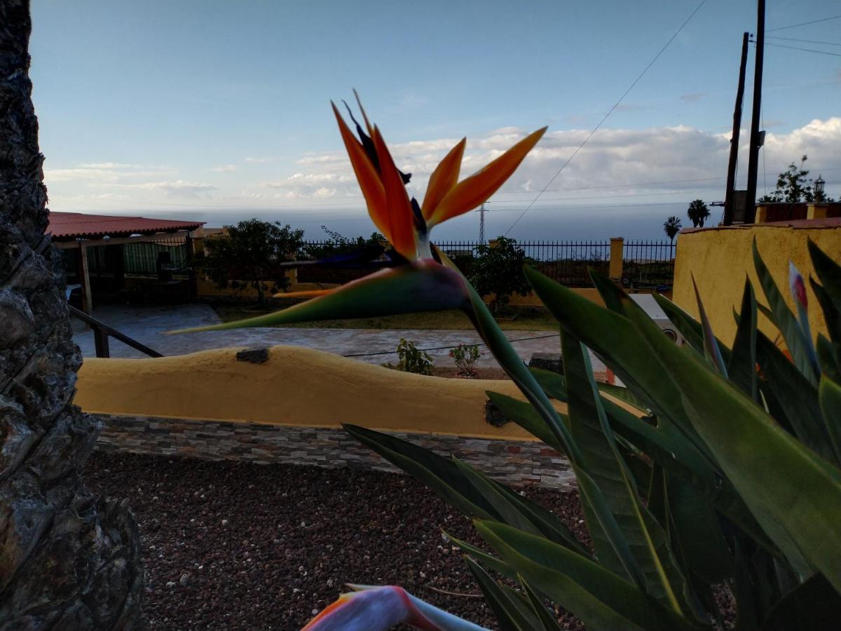 Apartamento La Costa Santa Cruz de Tenerife Esterno foto